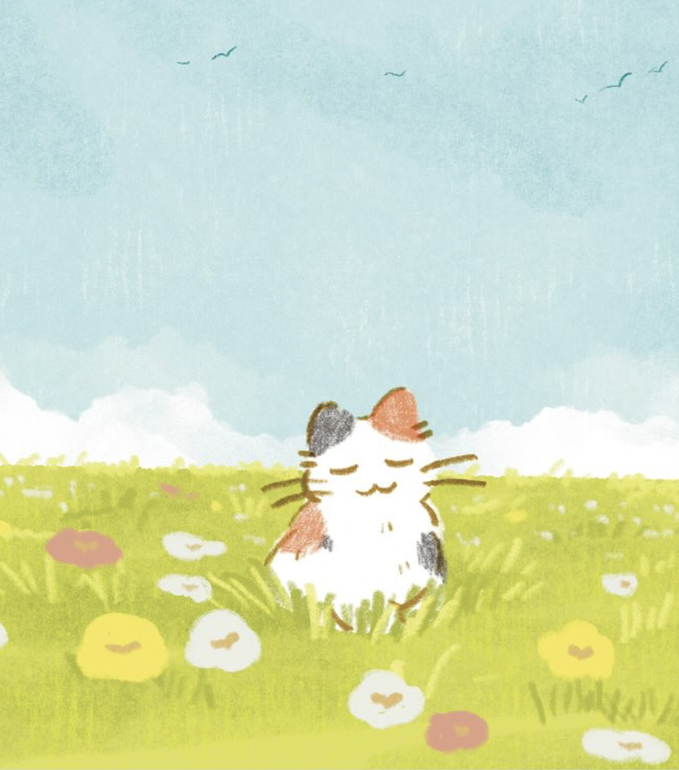 image from 「11.11」科研随笔